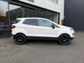 Ford EcoSport 1.0 EcoB. Titanium,1e Eig,Dealer OH,Half Leer,Wint Weiß - thumbnail 22