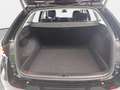 Skoda Octavia OCTAVIA COMBI 1.5 TSI DSG SELECTION LED AUDIO WINT Nero - thumbnail 15