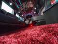 Cadillac Escalade 203-inch Stretch Limousine by Moonlight Industries Weiß - thumbnail 18