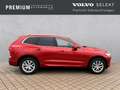 Volvo XC60 Momentum Pro 2WD T4 ACC DAB AHK Rojo - thumbnail 6