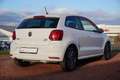 Volkswagen Polo 1.2 TSI  Sound Sitzheizung Klimaaut. Weiß - thumbnail 5
