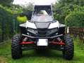 Autres Polaris RZR RS1 Blanc - thumbnail 6
