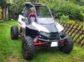 Autres Polaris RZR RS1 Blanc - thumbnail 7