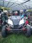 Autres Polaris RZR RS1 Blanc - thumbnail 3