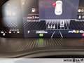 Skoda Kamiq 1.0 tsi Selection 115cv dsg Grigio - thumbnail 13
