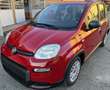 Fiat Panda 1.0 70cv Hybrid -- NESSUN VINCOLO -- Rot - thumbnail 1