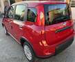 Fiat Panda 1.0 70cv Hybrid -- NESSUN VINCOLO -- Rosso - thumbnail 4