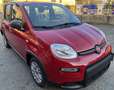 Fiat Panda 1.0 70cv Hybrid -- NESSUN VINCOLO -- Rouge - thumbnail 2