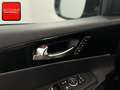Kia Sorento 2.2 CRDi AWD GT LINE 7SITZ+PANO+HUD+360+ Grau - thumbnail 16