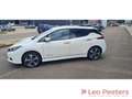Nissan Leaf Tekna 63 kw Wit - thumbnail 6