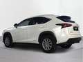 Lexus NX 300 300h Business 2WD - thumbnail 2