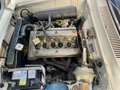 Alfa Romeo GT 1300 Junior scalino - ASI - thumbnail 13