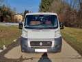 Fiat Ducato 250 - thumbnail 4