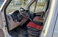 Fiat Ducato 250 - thumbnail 12