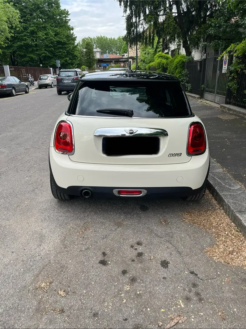 MINI Cooper 1.5 3p auto - 2