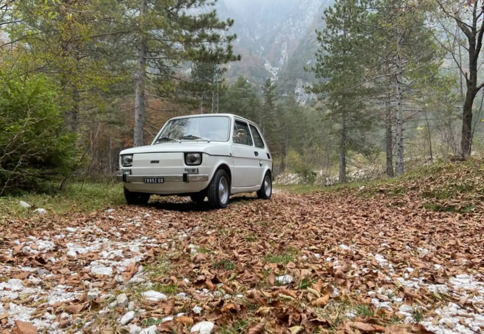 Fiat 126 Prima serie (595cc) - 1