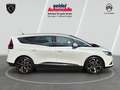 Renault Grand Scenic TCe 160 Automatik GPF Bose Edition Bianco - thumbnail 6
