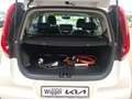 Kia Soul e-Soul Spirit Leder SUV-Design Glasdach 17'' Weiß - thumbnail 15