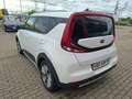 Kia Soul e-Soul Spirit Leder SUV-Design Glasdach 17'' Weiß - thumbnail 19