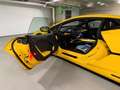 Lamborghini Temerario TEMERARIO GIALLO CARBON INT&EXT LIFT MY26 NEWCAR Gelb - thumbnail 10