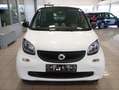 smart forTwo Fortwo 1.0 AMG EDITION 61cv Bianco - thumbnail 2