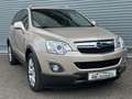 Opel Antara Cosmo 4x4 Leder Kamera AHK** Beige - thumbnail 3