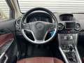 Opel Antara Cosmo 4x4 Leder Kamera AHK** Beige - thumbnail 7