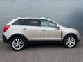 Opel Antara Cosmo 4x4 Leder Kamera AHK** Beige - thumbnail 6