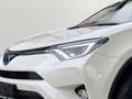 Toyota RAV 4 RAV4 2.5 Edition-S Hybrid 4x4~Service Neu Toyota White - thumbnail 5