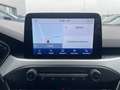 Ford Focus Focus SW 1.5 ecoblue Business 120cv Gris - thumbnail 16