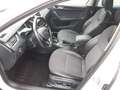 Skoda Octavia Combi 2.0 TDI Style*DSG*NAVI*AHK*LEDER* Weiß - thumbnail 9