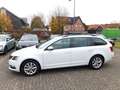 Skoda Octavia Combi 2.0 TDI Style*DSG*NAVI*AHK*LEDER* Weiß - thumbnail 5