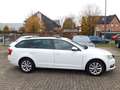Skoda Octavia Combi 2.0 TDI Style*DSG*NAVI*AHK*LEDER* Weiß - thumbnail 4