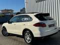 Porsche Cayenne 3.6 V6 LED+PANO+BOSE+AHK+LEDER+Bi-XENON Weiß - thumbnail 4