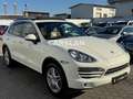 Porsche Cayenne 3.6 V6 LED+PANO+BOSE+AHK+LEDER+Bi-XENON Weiß - thumbnail 12