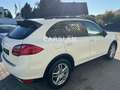 Porsche Cayenne 3.6 V6 LED+PANO+BOSE+AHK+LEDER+Bi-XENON Weiß - thumbnail 9