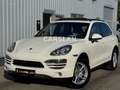 Porsche Cayenne 3.6 V6 LED+PANO+BOSE+AHK+LEDER+Bi-XENON Weiß - thumbnail 3