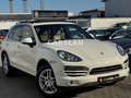 Porsche Cayenne 3.6 V6 LED+PANO+BOSE+AHK+LEDER+Bi-XENON Weiß - thumbnail 1