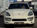 Porsche Cayenne 3.6 V6 LED+PANO+BOSE+AHK+LEDER+Bi-XENON Weiß - thumbnail 2