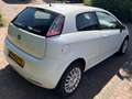 Fiat Punto Punto 1.2 Pop Wit - thumbnail 7