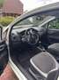 Fiat Punto Punto 1.2 Pop Wit - thumbnail 8