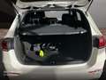 Mercedes-Benz B 250 e EDITION 2020+AMG+NIGHT+LED+8G Weiß - thumbnail 20