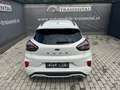 Ford Puma 1,0 EcoBoost ST-Line X Aut. Weiß - thumbnail 7