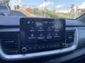 Kia Stonic 1.0 T-GDi 100 CV MHEV MT Urban AZIENDALE IVA ESPO Albastru - thumbnail 15