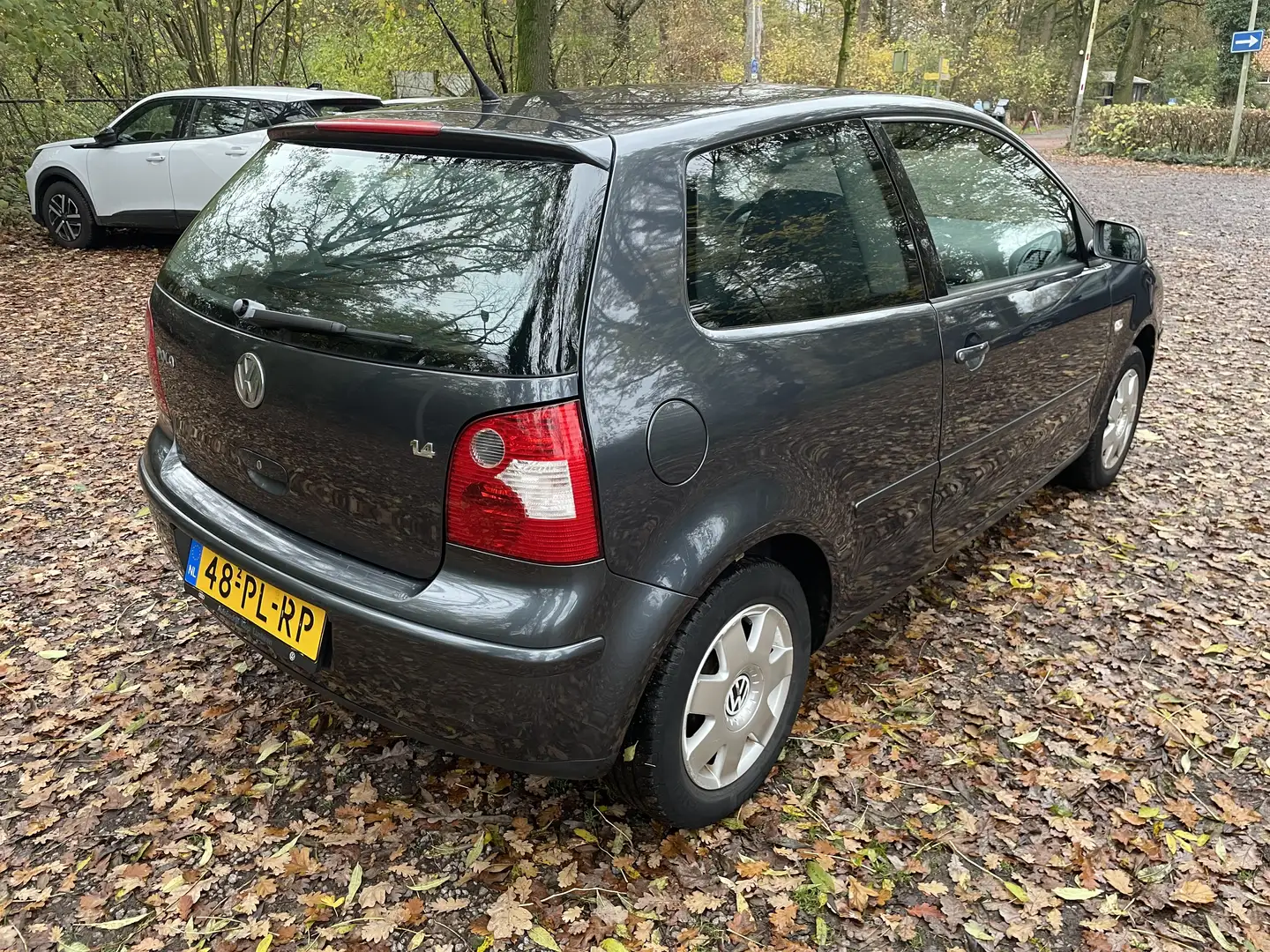 Volkswagen Polo Polo 1.4-16V Highline Серый - 2