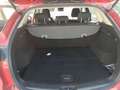 Mazda CX-5 2.5 Skyactiv-G Zenith Black 2WD Aut. Rojo - thumbnail 18