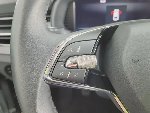 Skoda Scala view 14