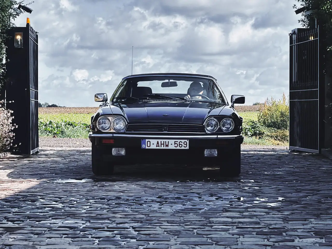 Jaguar XJS V12 -Documents Belges-, foto 9