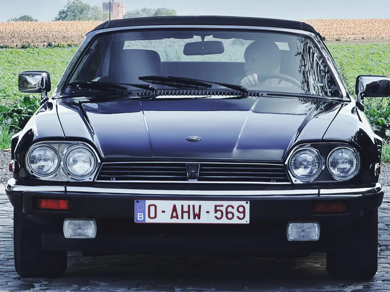 Jaguar XJS V12 -Documents Belges-, foto 8