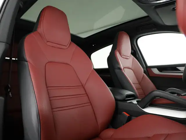 Porsche Cayenne view 13